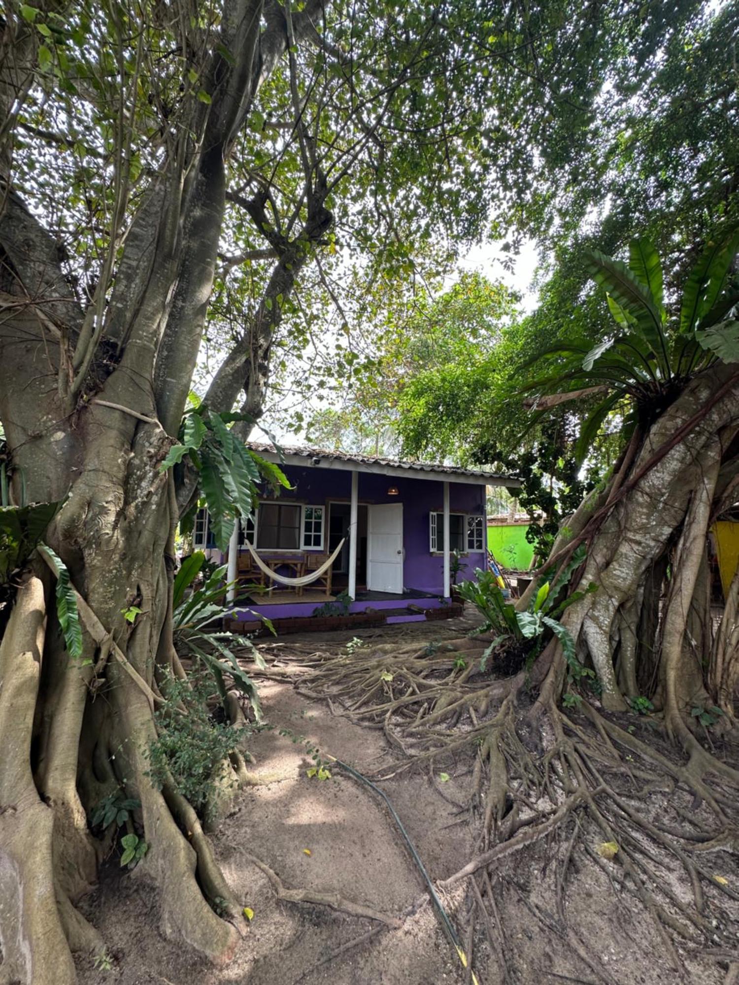 Colorful Hut Hotell Ko Pha Ngan Eksteriør bilde